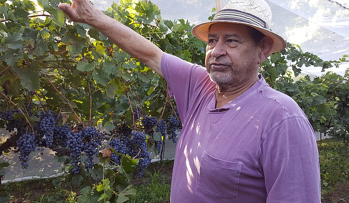 At the Clear Creek Vineyard and Winery in Camp Verde, Ignacio Mesa uses geese and chickens for pest control instead of synthetic pesticies, covers crops for fertilization, and uses passive solar heat in the winter to ferment the wine. Photo courtesy of the Sustainability Alliance