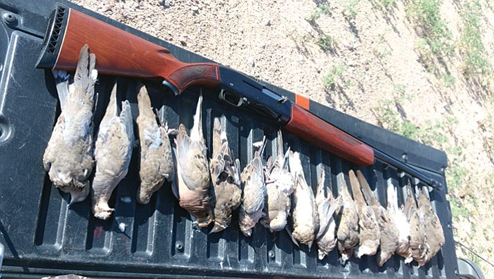 Hunting: Dove season ends Friday | Kingman Daily Miner | Kingman, AZ