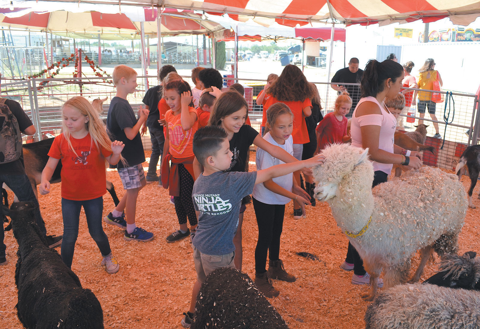 The Mohave County Fair is here through Sunday Kingman Daily Miner