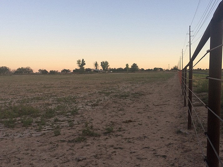 The land where the West Meadows development will go. (Jason Wheeler/Chino Valley Review)