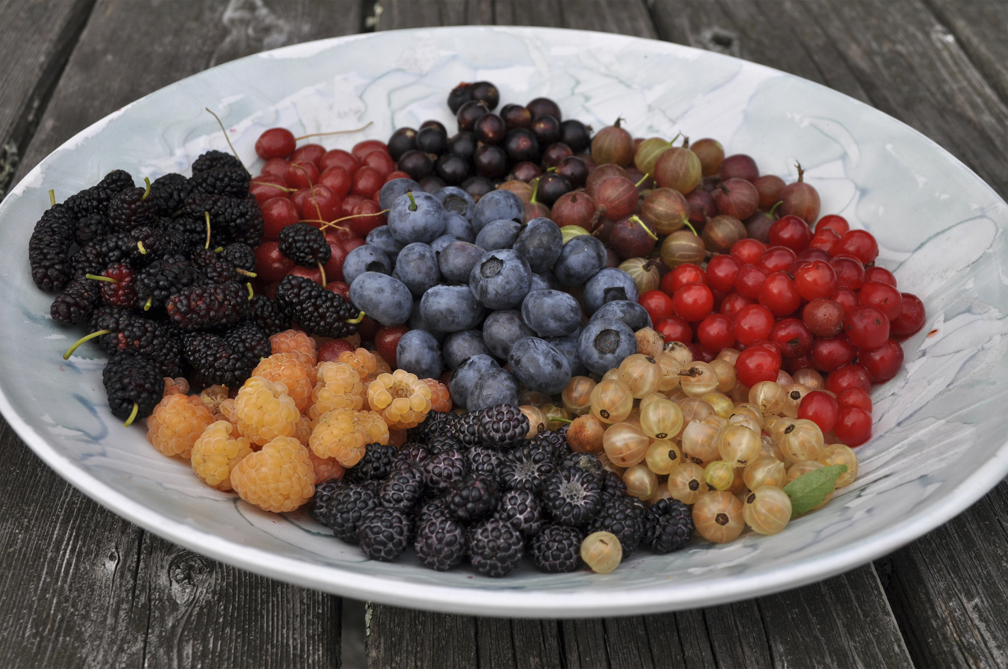 Warming berries. Ягоды разные. Домашние ягоды. Кислые ягоды. Сладкая ягода.