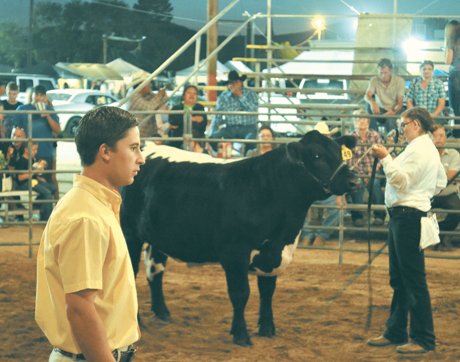 judge how coloring contest to the  Where  fair? do cows after Kingman go Miner Daily