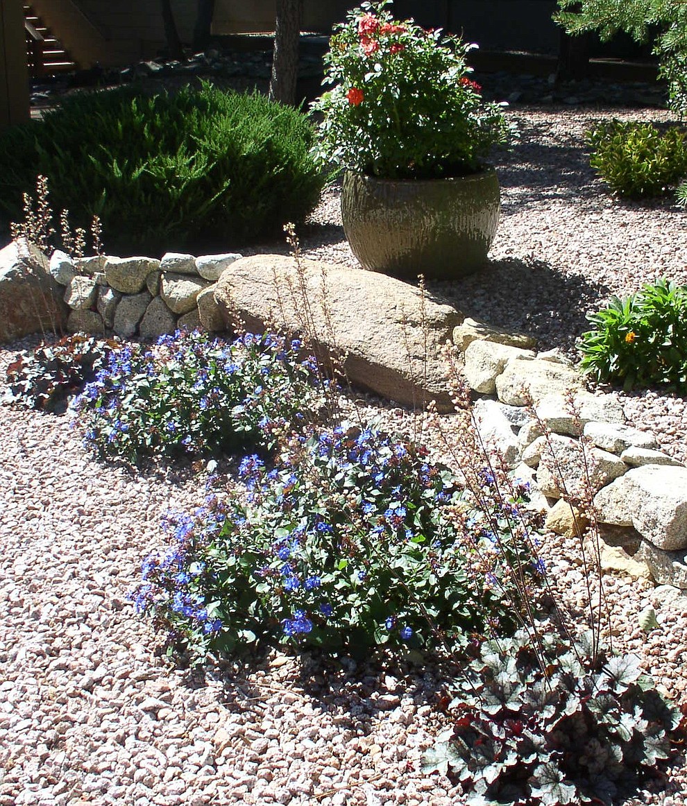 Scene from the Halls’ garden. (Alta Vista Garden Club/Courtesy)