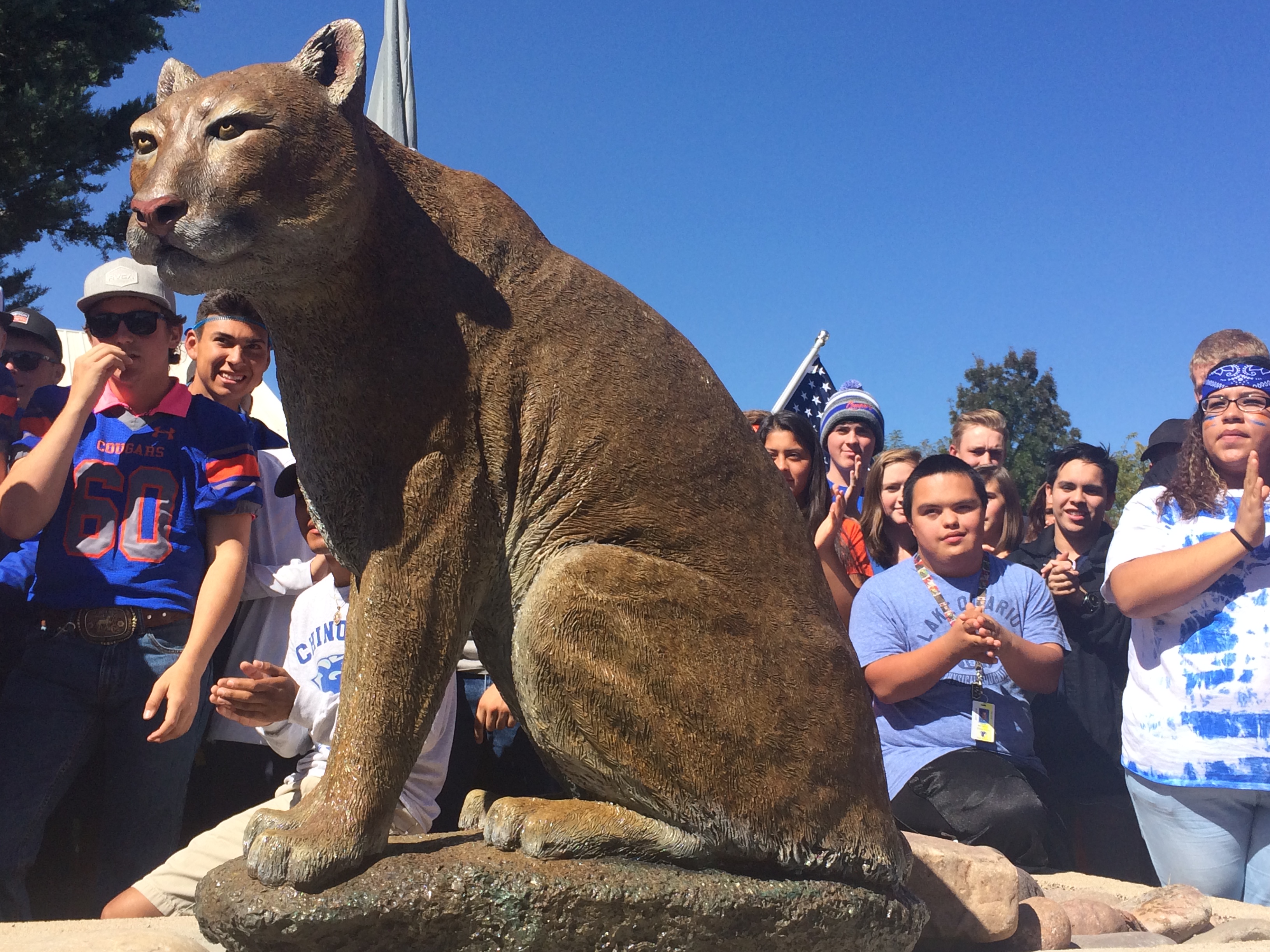 chino valley cougar women Cougar archery non-discriminiation statement spring testing student insurance tax credit schools chino valley, az 86323 | phone 928-636-2458 | fax 928-636-1434. chino valley cougar women Cougar archery non-discriminiation statement spring testing student insurance tax credit schools chino valley, az 86323 | phone 928-636-2458 | fax 928-636-1434.