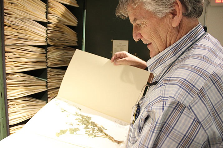 Natural History Institute Executive Director Thomas Fleischner shows off some of the nonprofit’s extensive collection of plants, insects and birds. (Max Efrein/Courier)