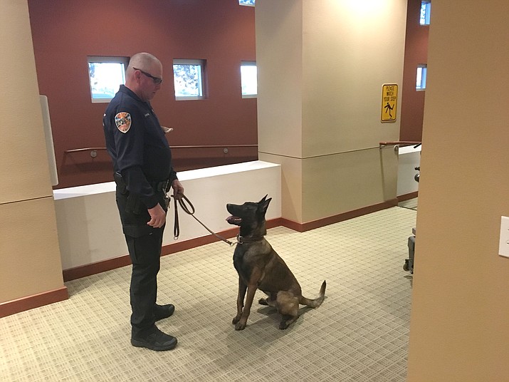 Kingman Police S Newest K 9 Has Earned His Badge Kingman Daily Miner Kingman Az