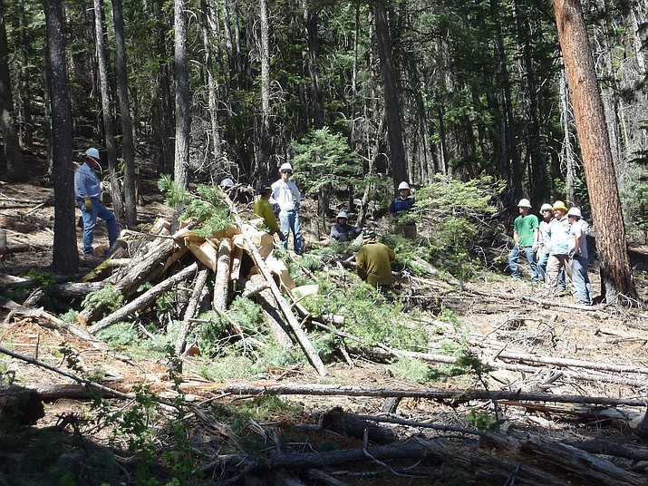 Apache County crews thin the forest near Greer in this 2012 photo, by cutting down small trees and low-hanging limbs. Experts say forest management like this is one key to preventing wildfires – and the goal of a House bill that critics called a ‘giveaway’ to the logging industry. 