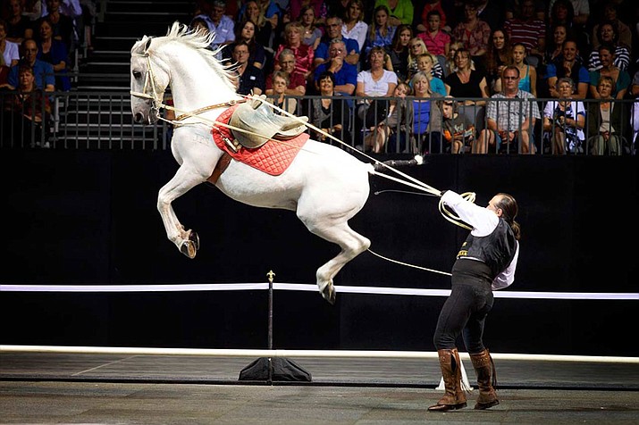 The Gala of Royal Horses will be at the Prescott Valley Event Center Saturday, Nov. 18. (Courtesy)