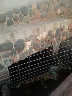 Photo detail