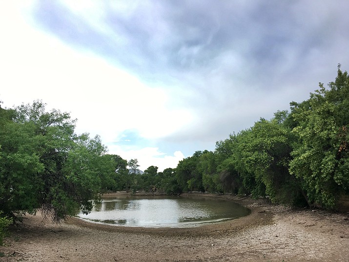 Wednesday, the Camp Verde Town Council voted 4-to-3 to take over ownership of about 6.8 acres of land, including two lakes, at Verde Lakes. (Photo by Bill Helm)