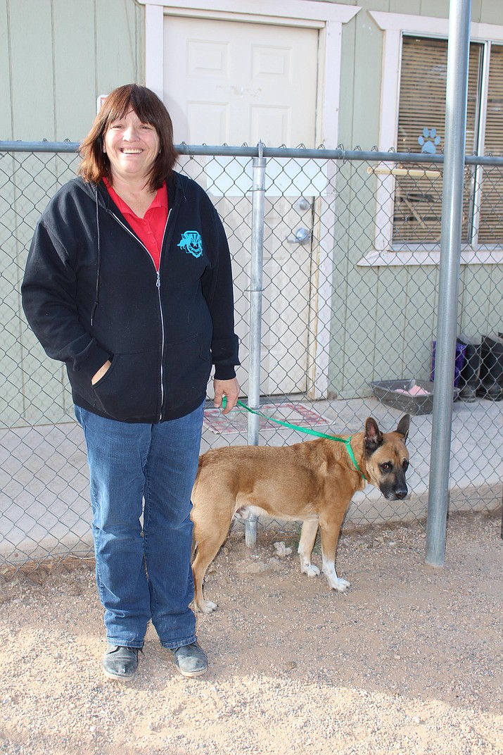 Adopting a pet is a great idea, but maybe not for Christmas Kingman