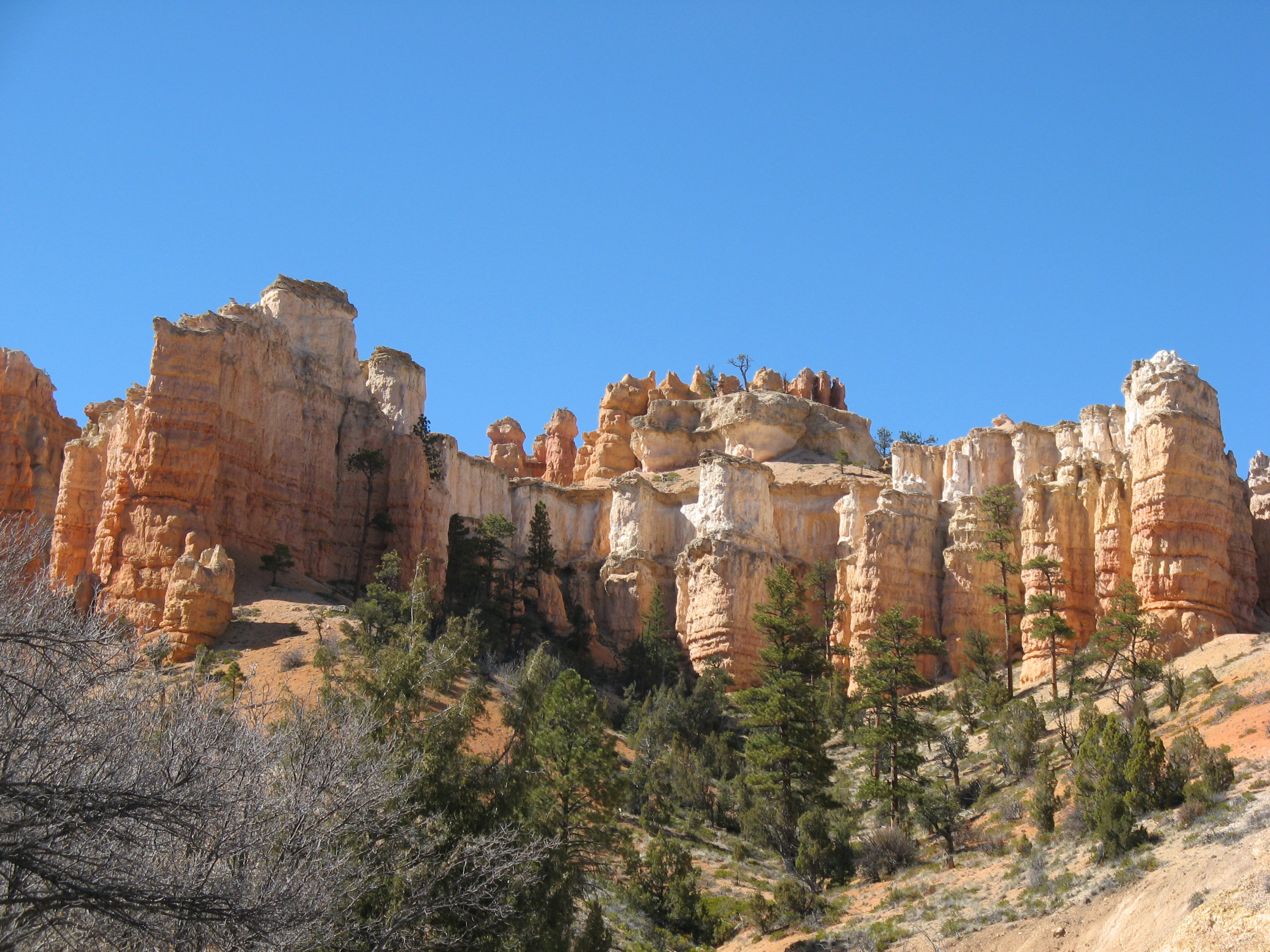 bears ears and grand staircase escalante - Growing up in the Pacific Northwest exploring parks and forests has made her passionate about protecting public lands