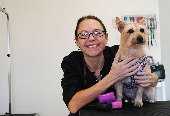 Cottonwood pet spa on sale