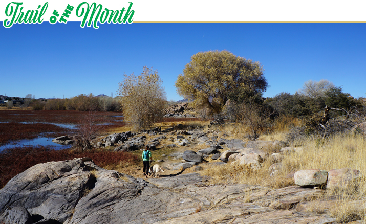 Trail Of The Month Willow Lake Loop Gets Premier Designation The Daily Courier Prescott Az 3020