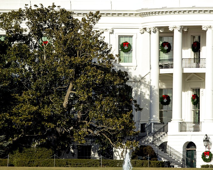 A large portion of a famed Magnolia tree, at left, photographed from the Ellipse in Washington, Tuesday, Dec. 26, 2017 and planted on the south grounds of the White House by President Andrew Jackson in 1835 has become too weak to remain standing.(AP Photo/Andrew Harnik)
