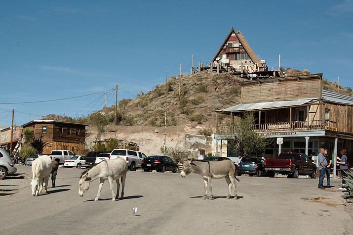 Burros wander the streets of Oatman, an old mining town in Mohave County, about an hour's drive from Lake Havasu City.