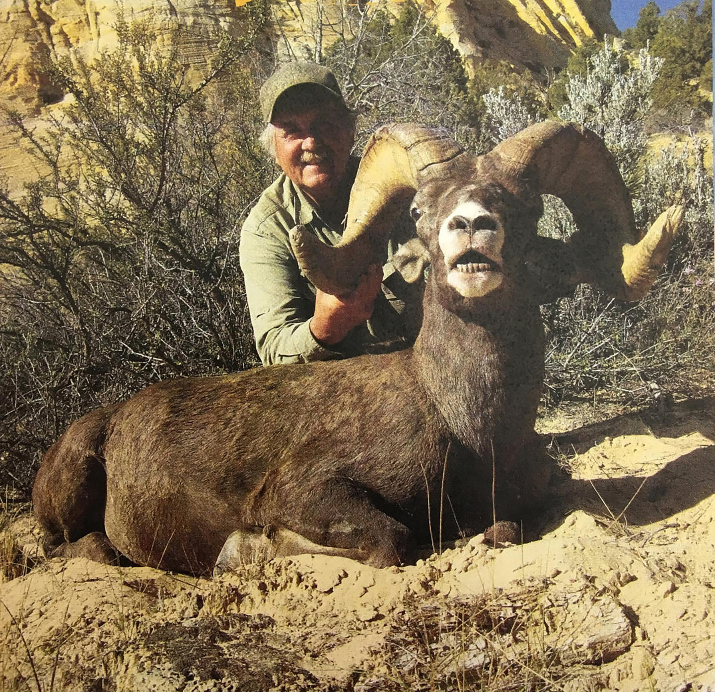 BIGHORN CHEF