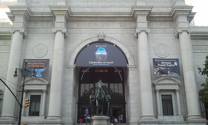  American Museum of Natural History. (Gigi Alt)