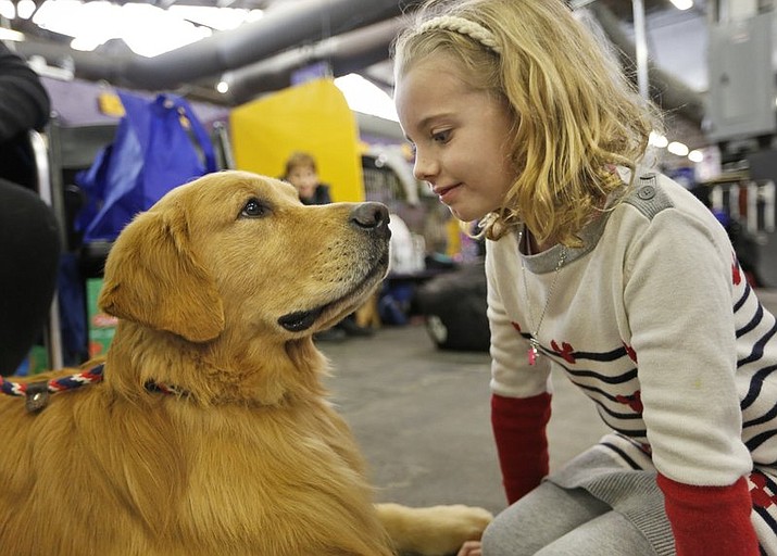 Evangeline Wendt, 7, right, visits with a golden retriever named Tank during the 142nd Westminster Kennel Club Dog Show in New York, Tuesday, Feb. 13, 2018. (AP Photo/Seth Wenig)

