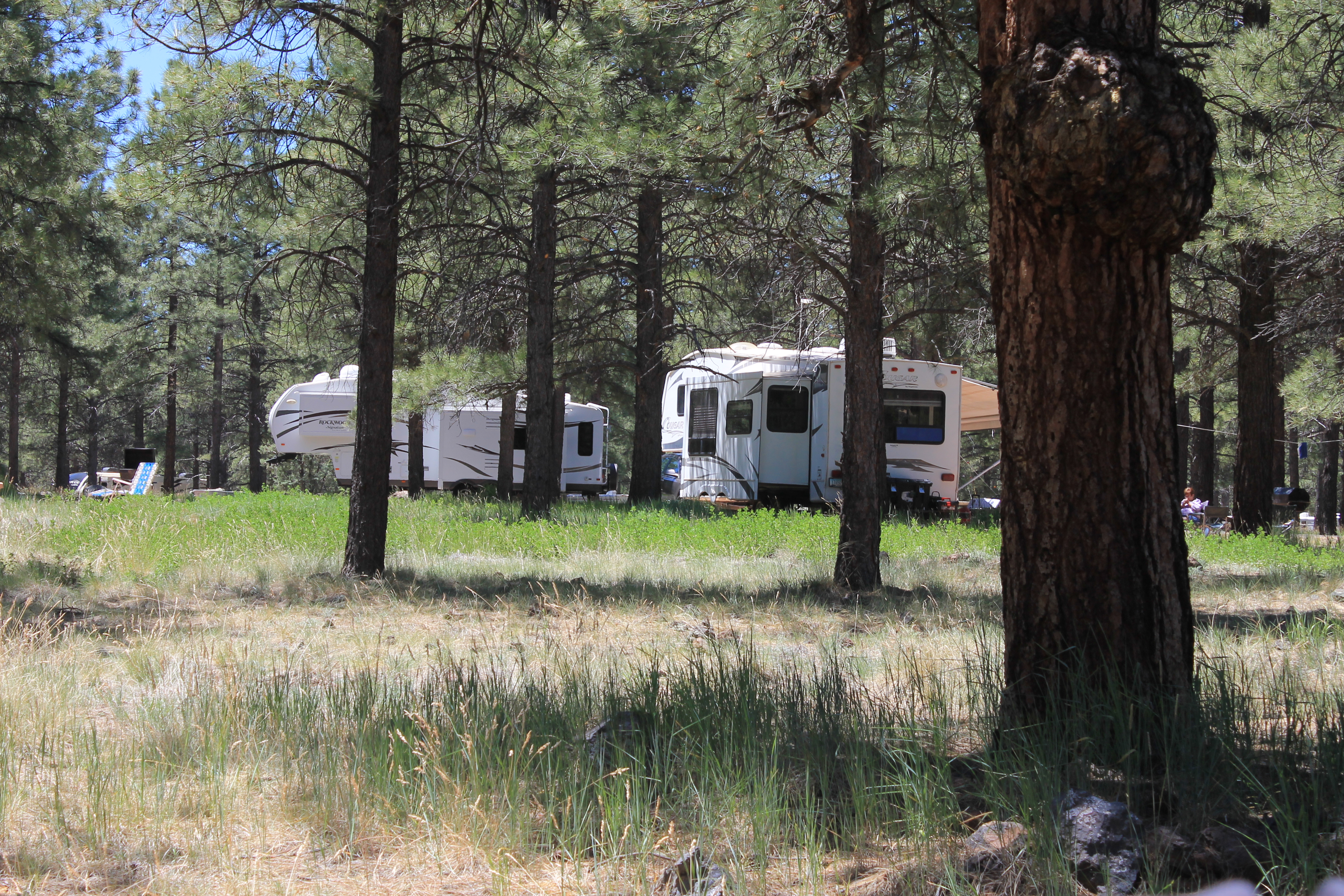 Northern Arizona Koa Campgrounds Anticipating Busy Summer Season Williams Grand Canyon News Williams Grand Canyon Az