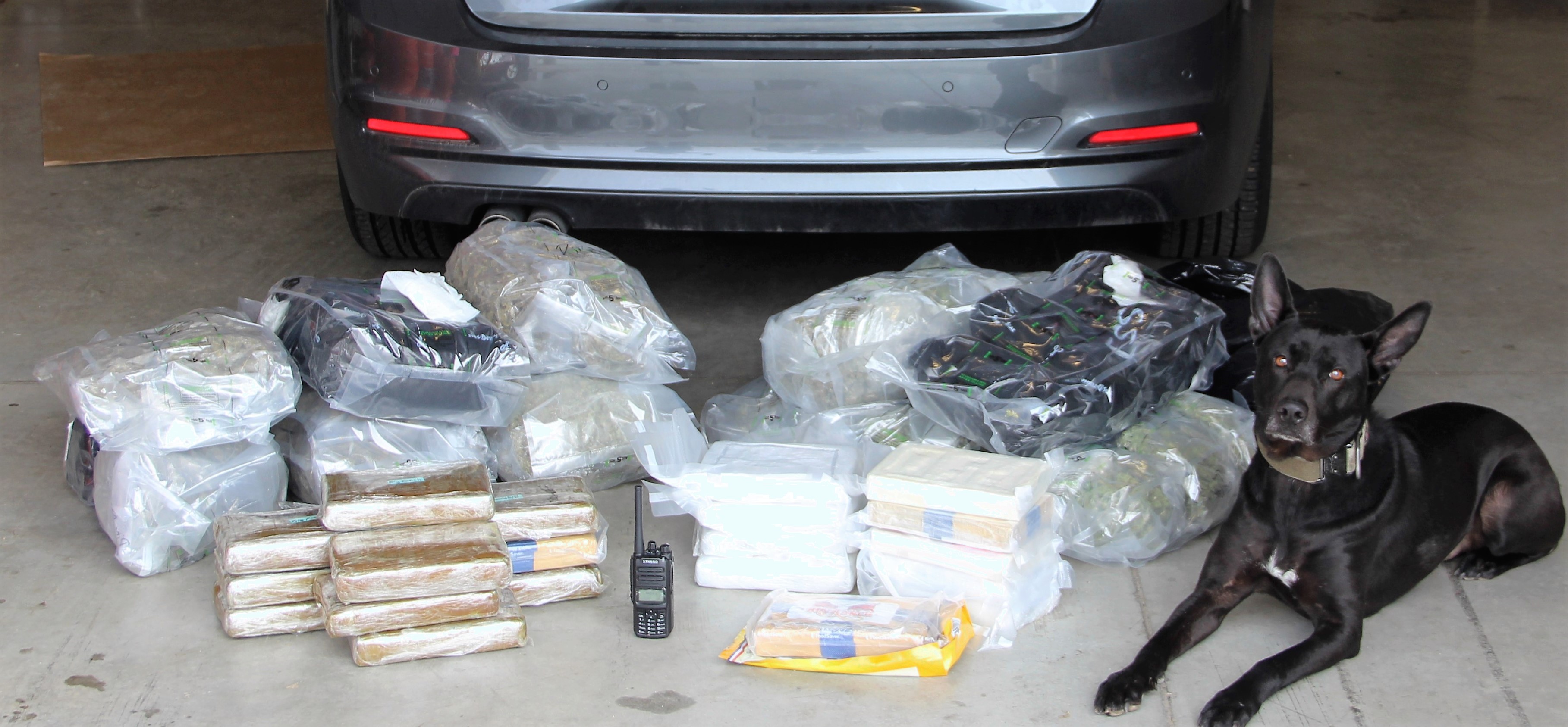 K-9 cop sniffs out million-dollar drug bust | The Daily Courier