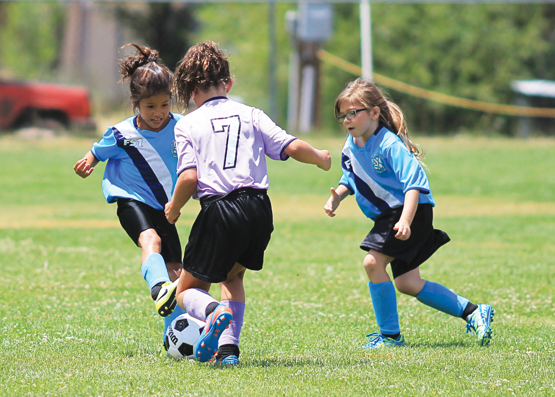 Williams AYSO soccer signups begin Grand Canyon News Grand Canyon, AZ