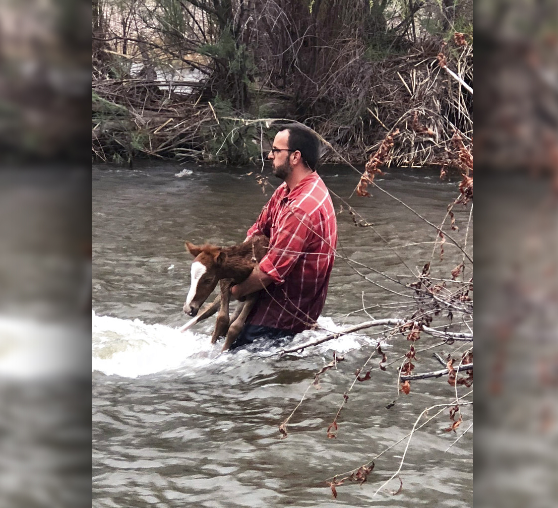 Wild river country coupon code 2018