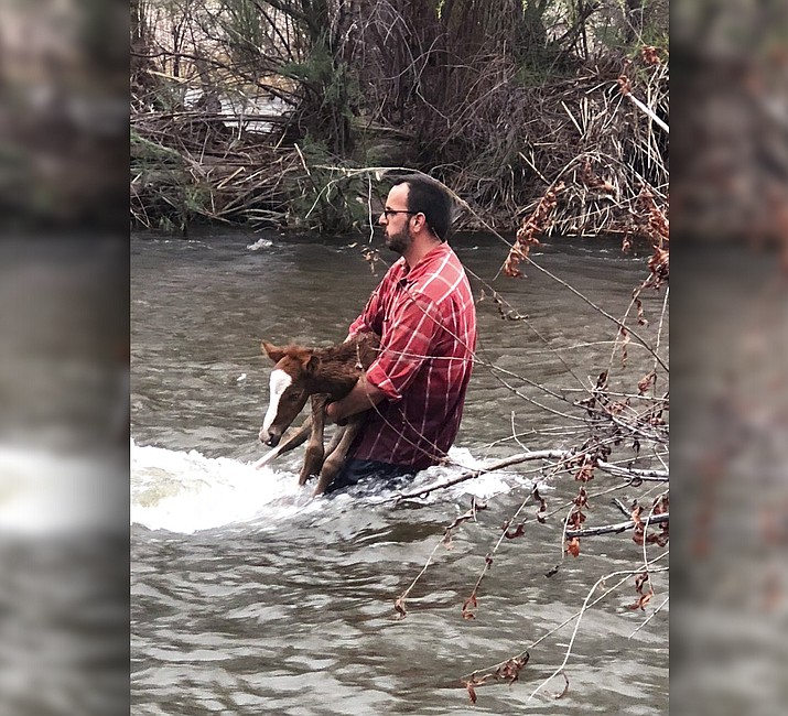 In this photo provided by the Salt River Wild Horse Management Group, Ryan Schultz holds a foal in the Salt River on Thursday, March 22, 2018, in Mesa, Ariz. Ryan and his wife, Bren Schultz, who volunteer with Salt River Wild Horse Management Group, were trying to save the foal from drowning when all three got stuck. (Simone Netherlands/ Salt River Wild Horse Management Group via The AP)