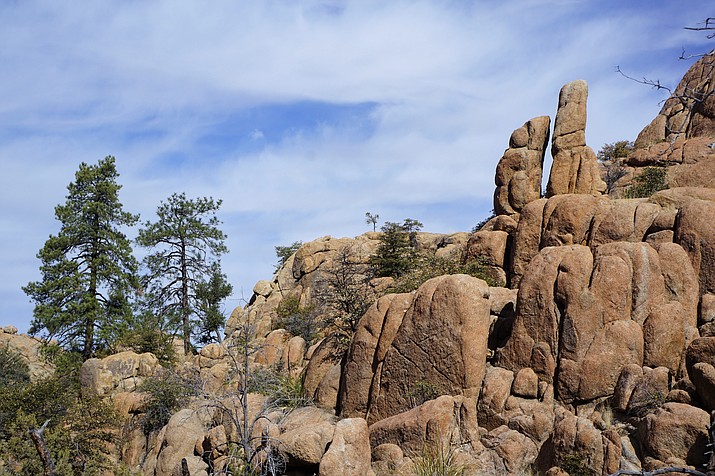 The new Easter Island Trail in Prescott’s Granite Dells plays off the unusual rock formations in the area east of the Peavine Trail. Trail builders say the rock towers were reminiscent of the World Heritage-Site statues on the actual Easter Island in the southeastern Pacific Ocean. The city trail is scheduled to be open by Friday afternoon, in time for the Easter weekend. (Cindy Barks/Courier)