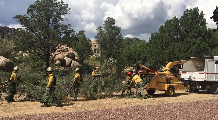 A crew hauls debris to a chipper during a fuel-mitigation project. (Michael Orr/Courtesy)