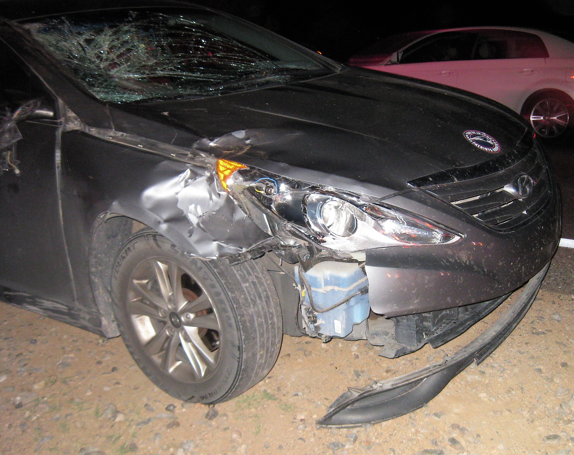 Cows Vs Cars Ycso Responds To Vehicle Collisions With Cattle On