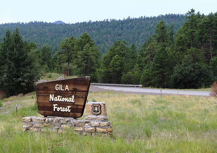 An entrance sign for the Gila National Forest, along Route 180 in southwestern New Mexico. The forest, which runs along the Arizona border, has been placed on "high fire danger." (Photo by Zereshk, CC 3.0, https://goo.gl/CNyaoz)