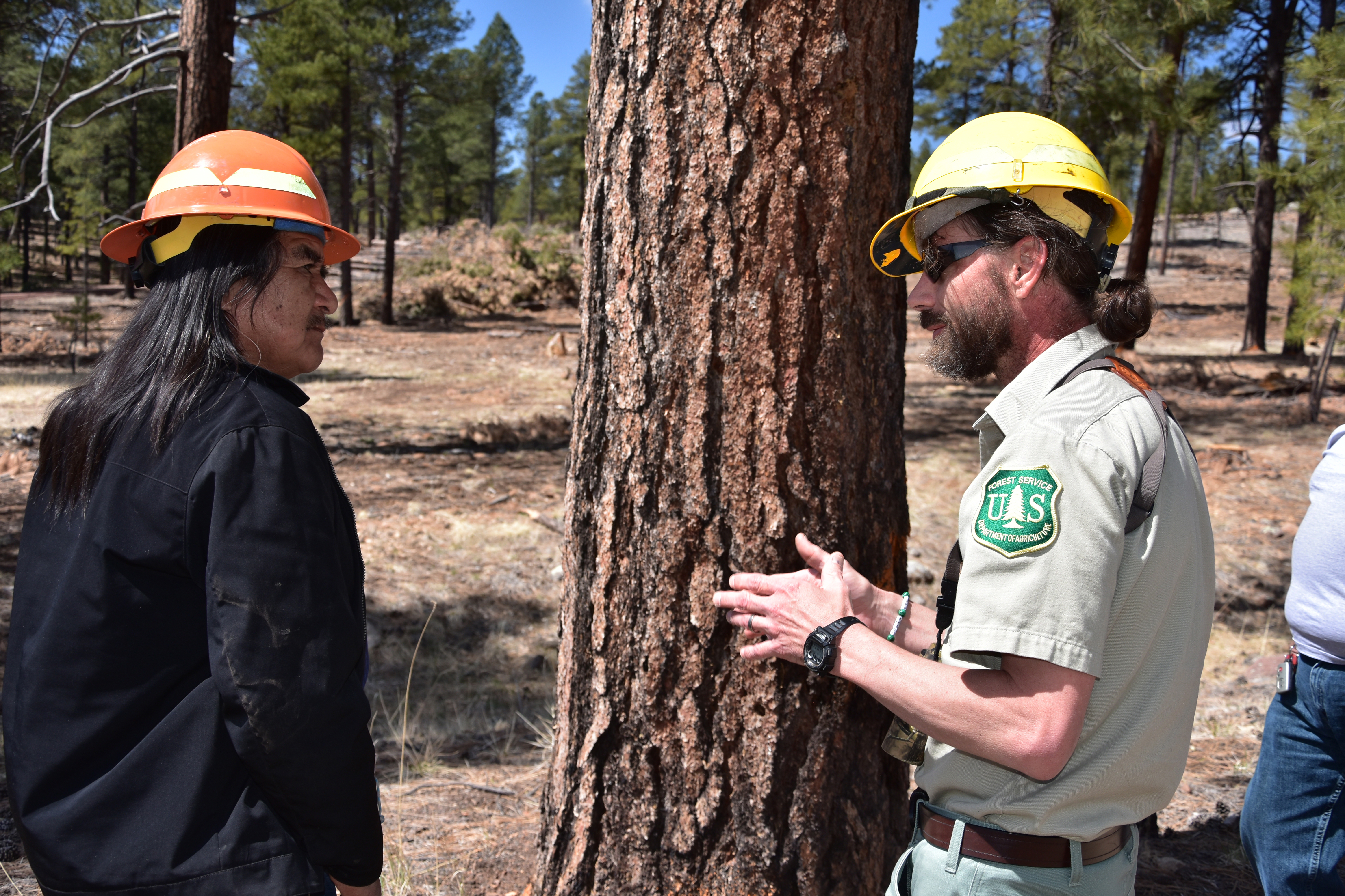 Tribal Relations  US Forest Service