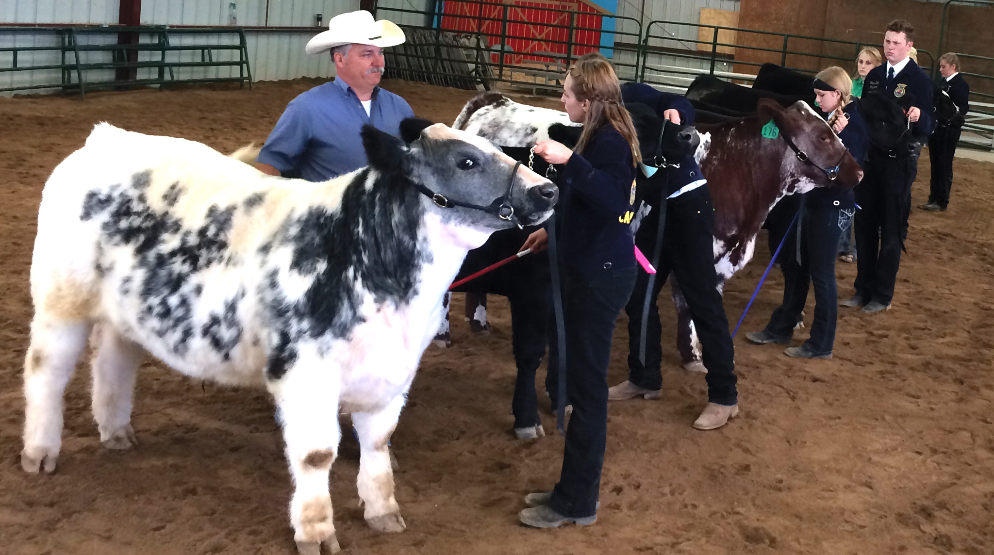 Verde Valley Fair kicks off Wednesday The Verde Independent
