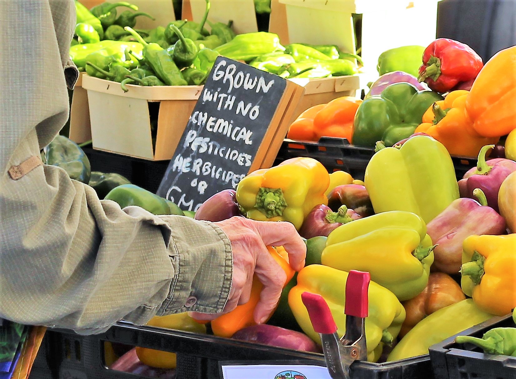 Local farmers markets open for summer The Daily Courier Prescott, AZ