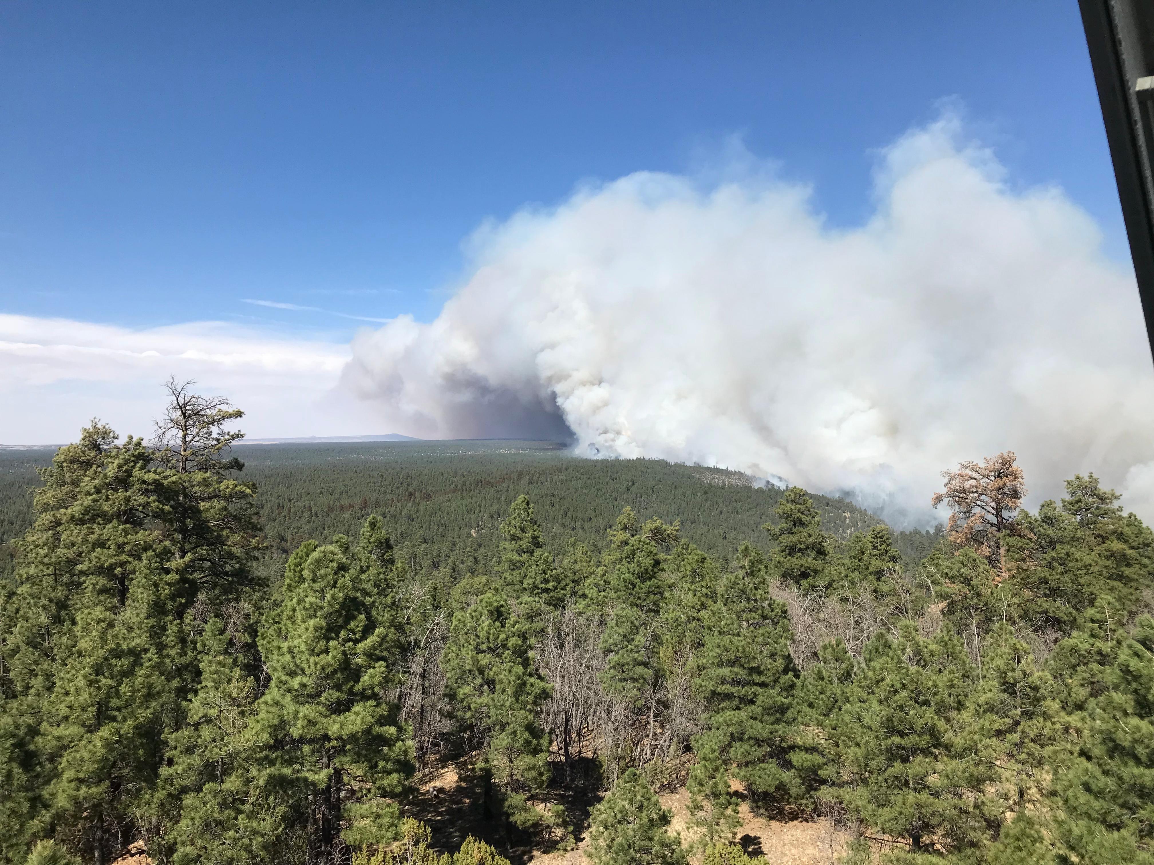 Despite rain, fire restrictions and closure remain in effect on Kaibab National Forest