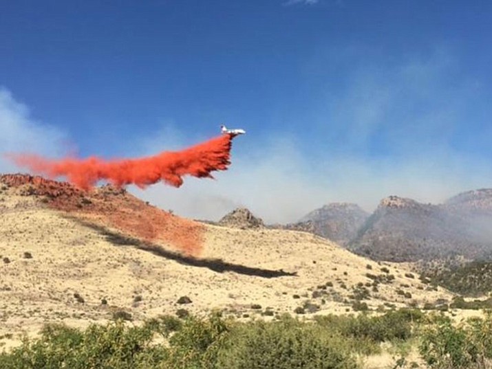 Authorities say the Pinery Fire near the Pinery Canyon campgrounds in Cochise County began Saturday afternoon causing the closure of Chiricahua National Monument. (Arizona State Forestry Service)