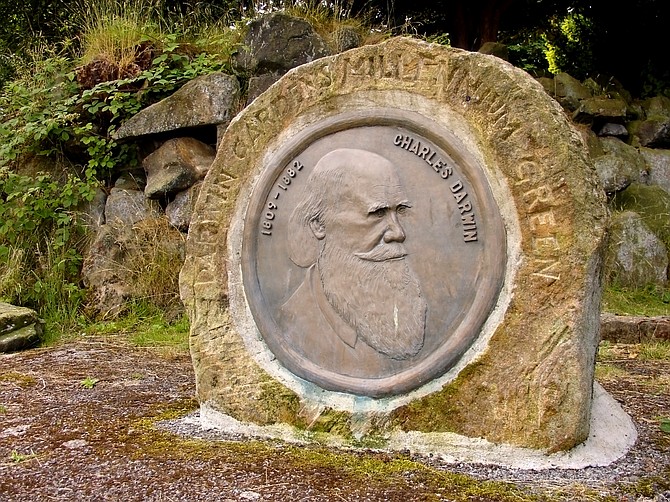 Photo detail