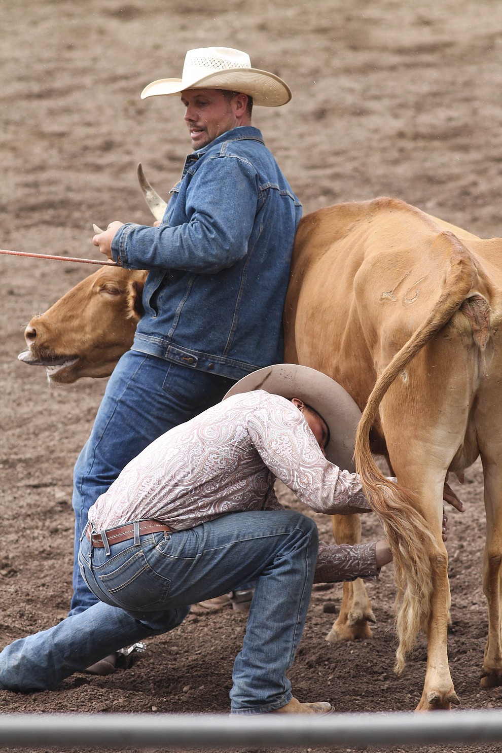 Cowpunchers Rodeo celebrates 40 years | Williams-Grand Canyon News ...