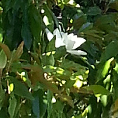 Photo detail