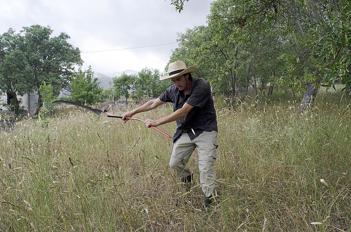 Burdeau uses a scythe to cut grass where he lives with his wife and two boys. In doing so, he is following the example of his father. (Audrey Rodeman via AP)