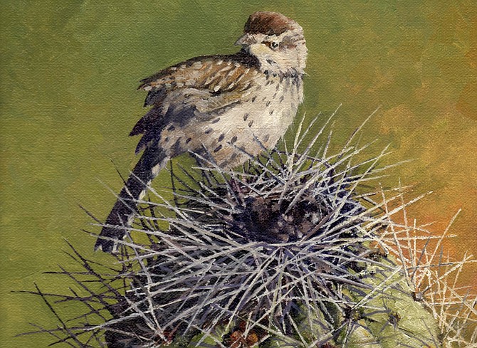 Photo detail