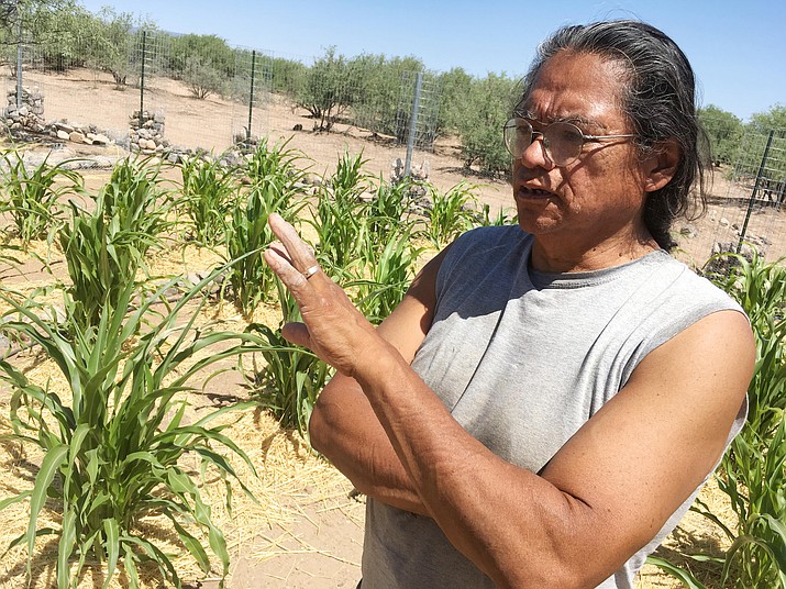Gerry Quotskuyva is director of Verde Valley Ancestral Gardens, the volunteer group that first developed, then has maintained the garden at the Native American Heritage Pathway. Said Quotskuyva, the garden “will always be ongoing.” VVN/Bill Helm