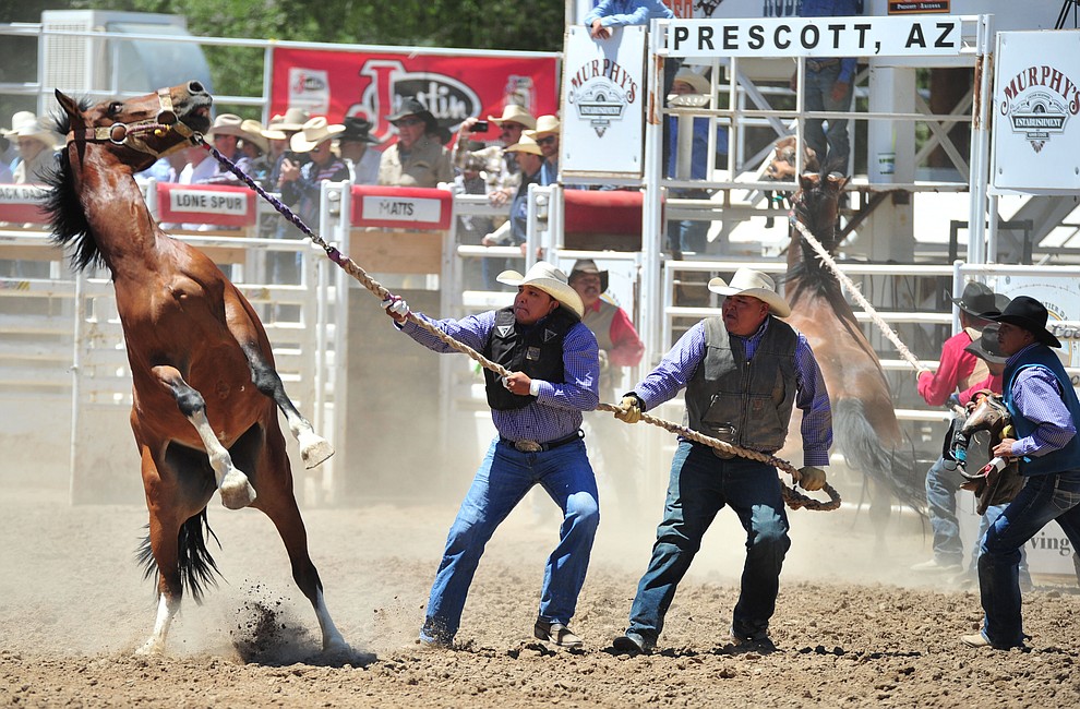 Wild horse racing during third performance of the Prescott Frontier Days Rodeo Saturday, June 30, 2018.(Les Stukenberg/Courier)