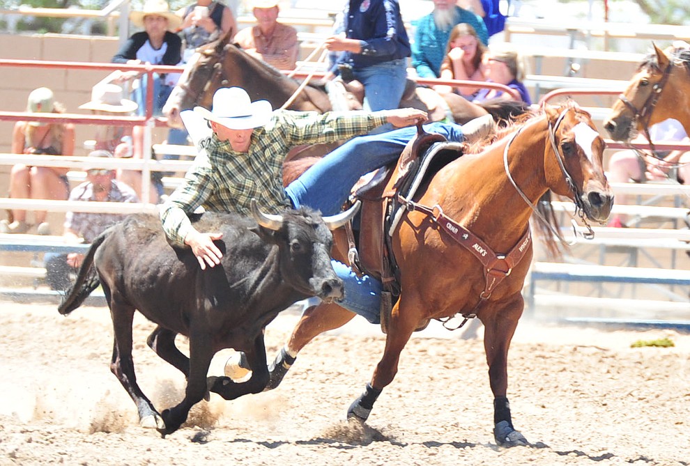 Coltin Hill has a 6.8 second run in the steer wrestling during third performance of the Prescott Frontier Days Rodeo Saturday, June 30, 2018.(Les Stukenberg/Courier)