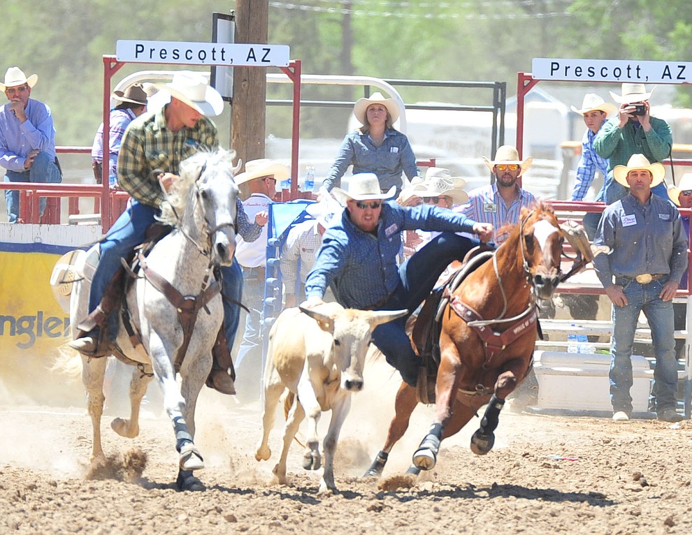 Stetson Jorgenson has a 4.6 second run in the steer wrestling during third performance of the Prescott Frontier Days Rodeo Saturday, June 30, 2018.(Les Stukenberg/Courier)