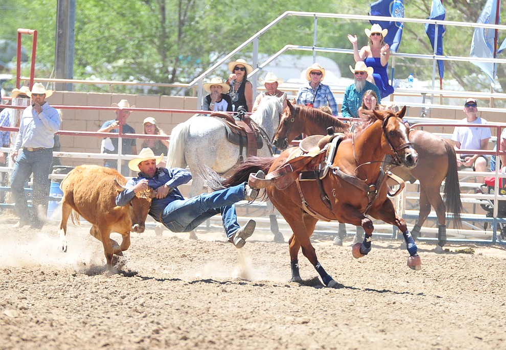 Olin Hannum has a 4.5 second run in the steer wrestling during third performance of the Prescott Frontier Days Rodeo Saturday, June 30, 2018.(Les Stukenberg/Courier)