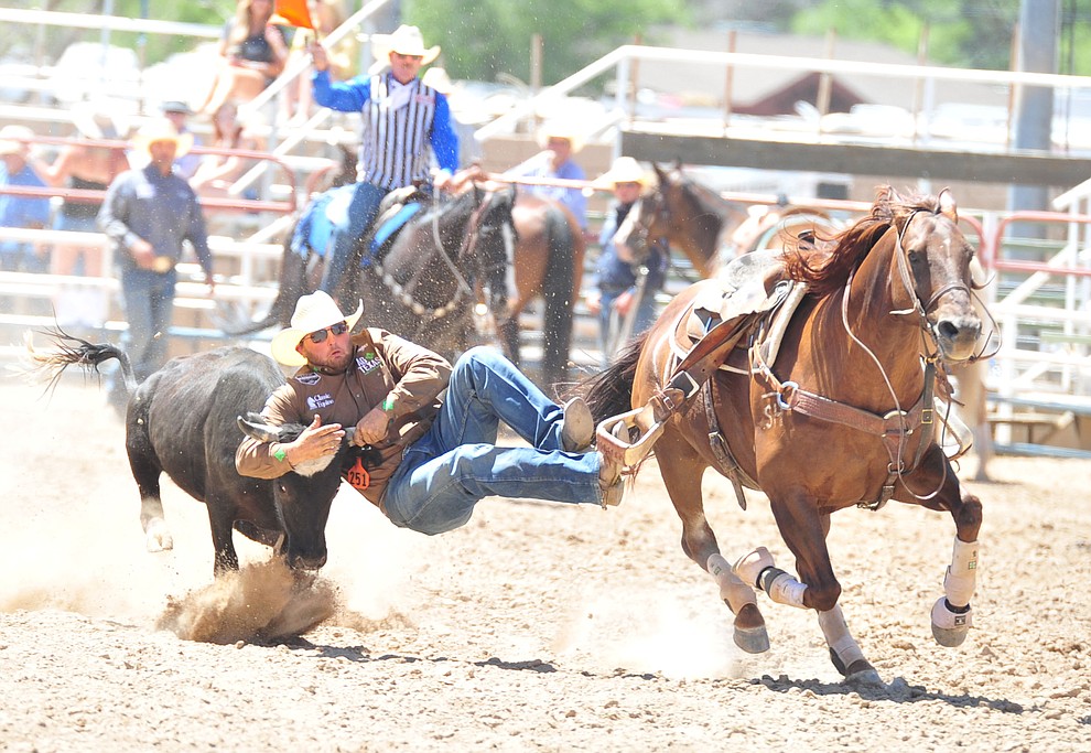 Jace Melvin has a 8.9 second run in the steer wrestling during the third performance of the Prescott Frontier Days Rodeo Saturday, June 30, 2018.(Les Stukenberg/Courier)