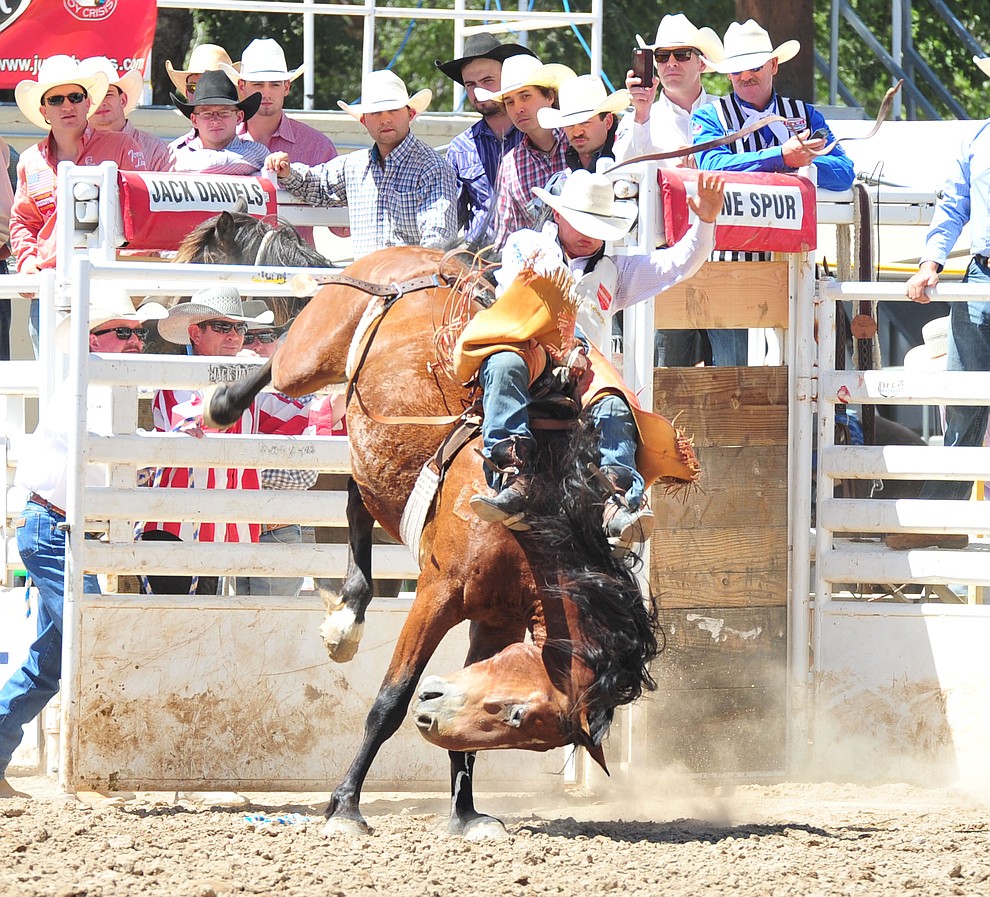 Clayton Biglow scores 79 on Whisky Trip in the bareback during the third performance of the Prescott Frontier Days Rodeo Saturday, June 30, 2018.(Les Stukenberg/Courier)