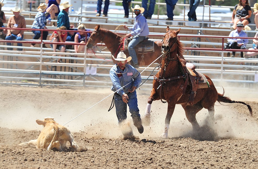 JD Kibbe gets an 11.4 second run in the tie down roping during third performance of the Prescott Frontier Days Rodeo Saturday, June 30, 2018.(Les Stukenberg/Courier)